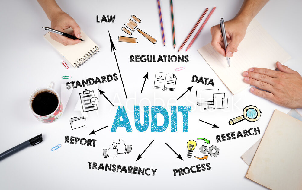 Auditing Assurances